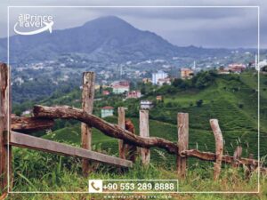 رحلة ريزا تركيا Rize